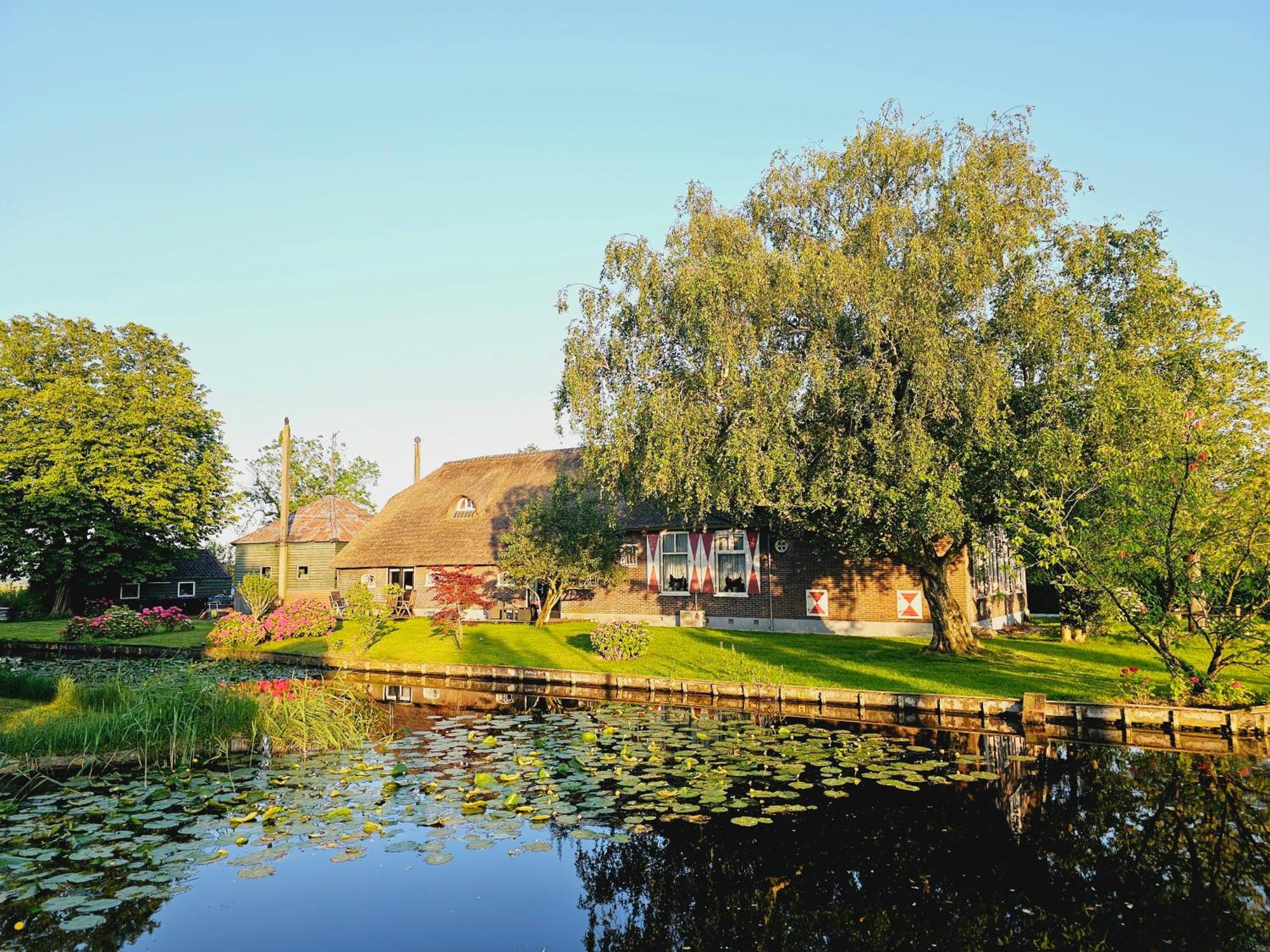 Apartment De Groene Papegaai