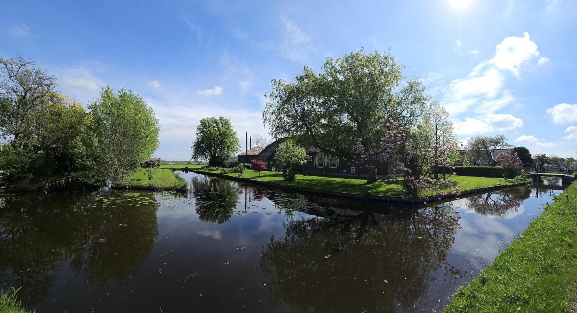De Groene Papegaai *