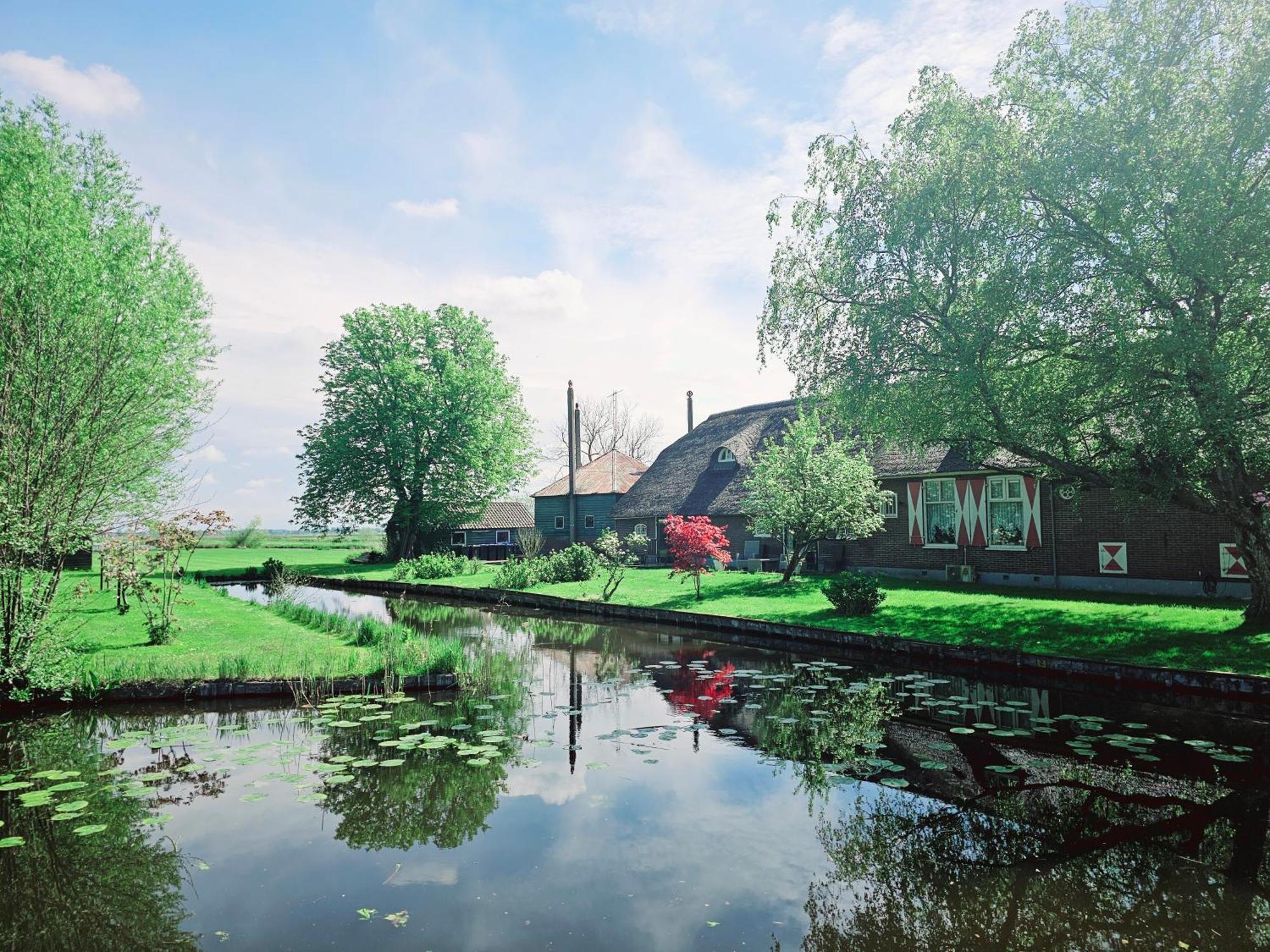 De Groene Papegaai